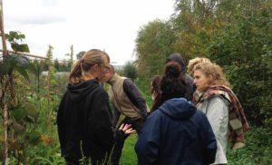 Open dag @ Tuinderij de Voedselketen