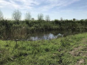 BoerenVuur: samenwerken in de landbouw @ Tuinderij de Voedselketen