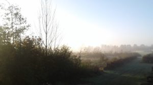Permacultuur Jaartraining 2019 @ Tuinderij de Voedselketen