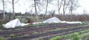 Meewerkdag - kas opzetten @ Tuinderij de Voedselketen