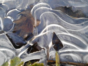 Workshop pedagogiek en kennisdeling @ Tuinderij de Voedselketen